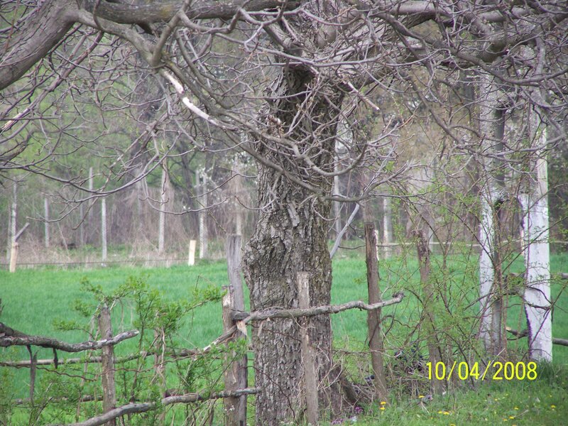 Bogati, jud. Arges,